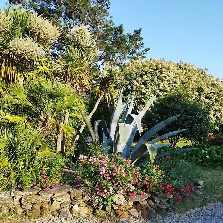 Les 3 Kois Bed & Breakfast Riec-sur-Belon Exterior photo